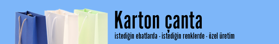 Karton Çanta